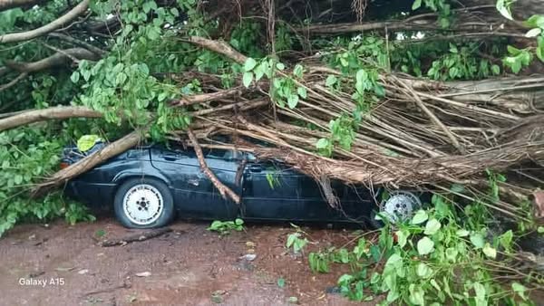 Images et Info : AGP Guinée Images et Info : AGP Guinée