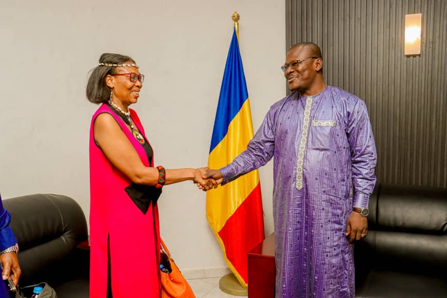 Tchad : La CNDH s'entretient avec la Directrice Exécutive de la REDHAC Tchad : La CNDH s'entretient avec la Directrice Exécutive de la REDHAC