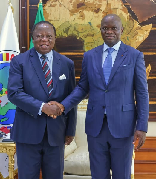 Gabon/Zambie : Renforcement de la coopération bilatérale et soutien à la candidature Zambienne à la BAD Gabon/Zambie : Renforcement de la coopération bilatérale et soutien à la candidature Zambienne à la BAD