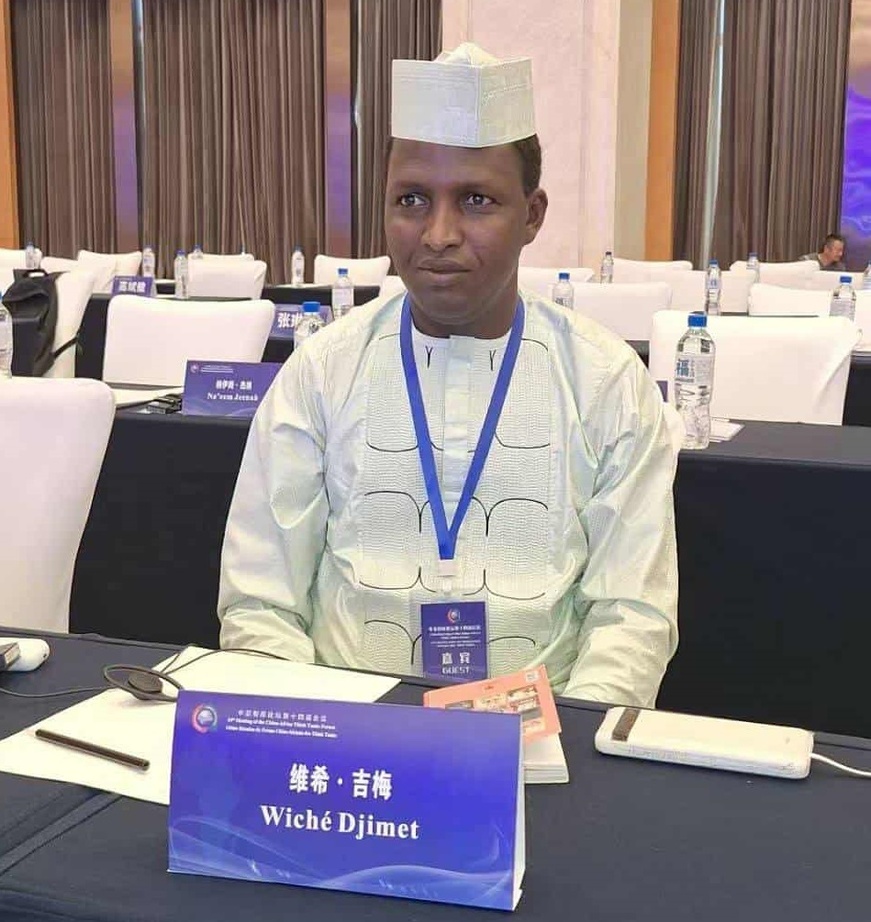 Tchad : des chercheurs chinois et africains échangent sur la gouvernance et la modernisation Tchad : des chercheurs chinois et africains échangent sur la gouvernance et la modernisation