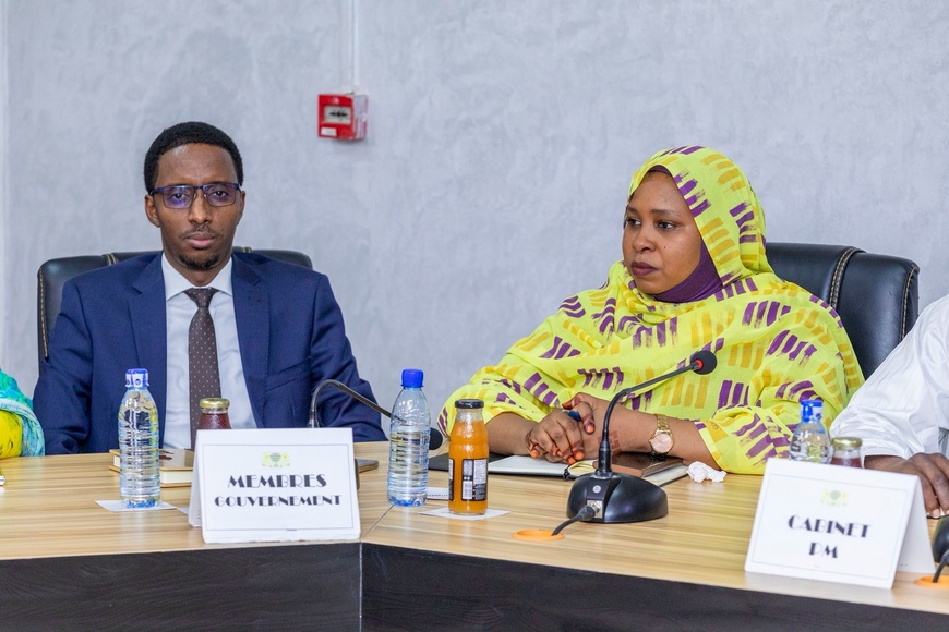 Tchad : le Premier ministre s'adresse aux partenaires humanitaires Tchad : le Premier ministre s'adresse aux partenaires humanitaires