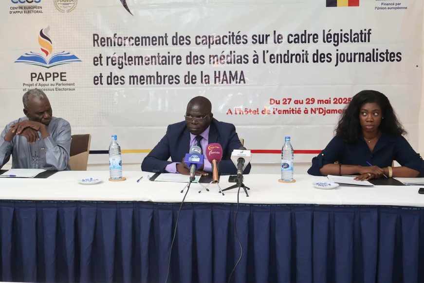 Tchad : le PAPPE renforce les capacités des médias sur le cadre législatif et réglementaire Tchad : le PAPPE renforce les capacités des médias sur le cadre législatif et réglementaire