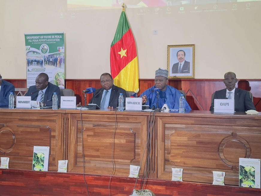 Cameroun : le pays prépare le premier Festival international du poivre de Penja