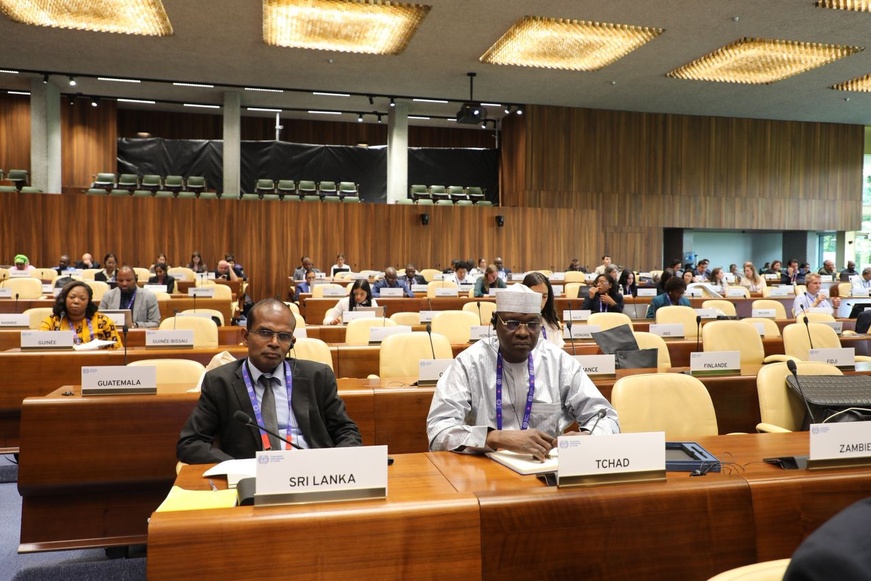 Tchad : La Commission d'Application des Normes de l'OIT formule des recommandations sur le travail des enfants Tchad : La Commission d'Application des Normes de l'OIT formule des recommandations sur le travail des enfants