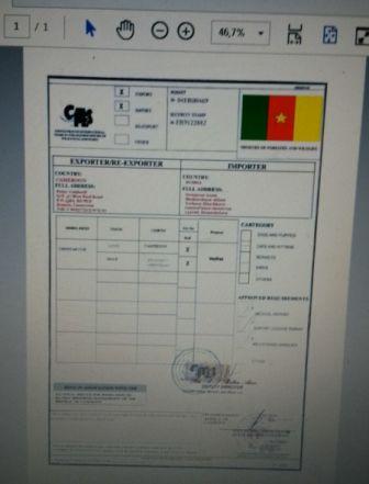 Le document falsifié utilisé par les trafiquants.