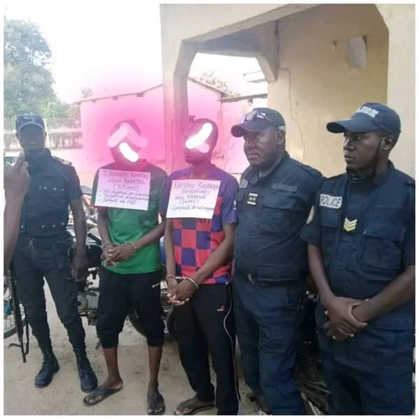 Cameroun : Un gang de braqueurs démantelé à Moulvoudaye  dans l'Extrême-Nord Cameroun : Un gang de braqueurs démantelé à Moulvoudaye  dans l'Extrême-Nord