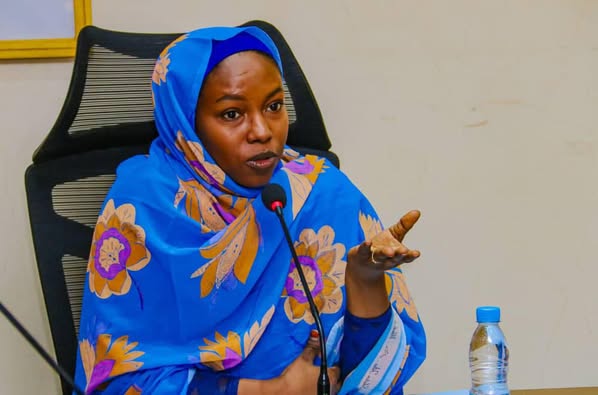 Tchad : Les recettes administratives des transports atteignent plus de 85% de l'objectif en cinq mois