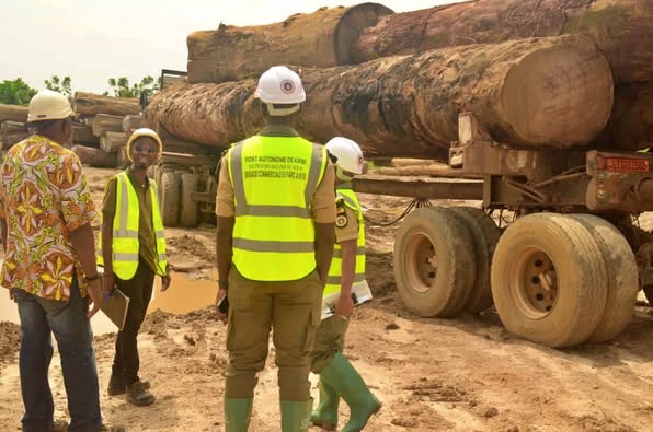Cameroun : 10 000 billes de bois saisies par la Douane à Kribi Cameroun : 10 000 billes de bois saisies par la Douane à Kribi