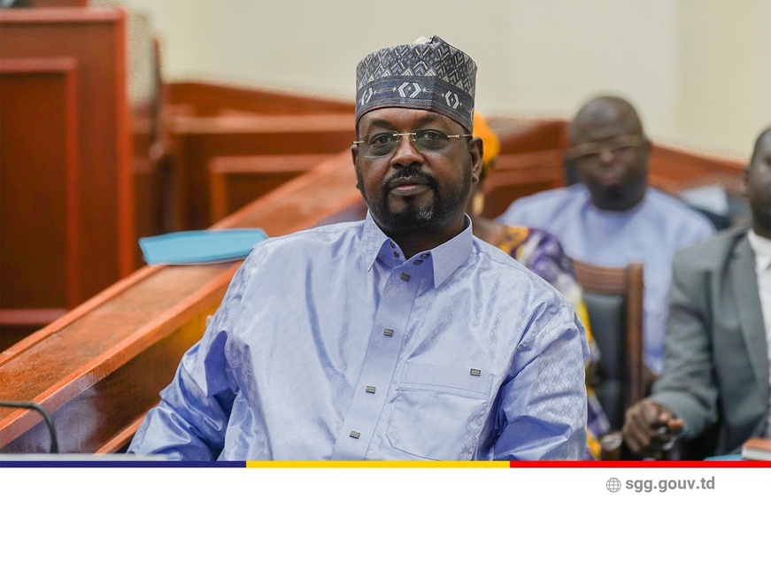 Tchad : ratification de la convention fiscale entre le Tchad et les Emirats arabes unis Tchad : ratification de la convention fiscale entre le Tchad et les Emirats arabes unis