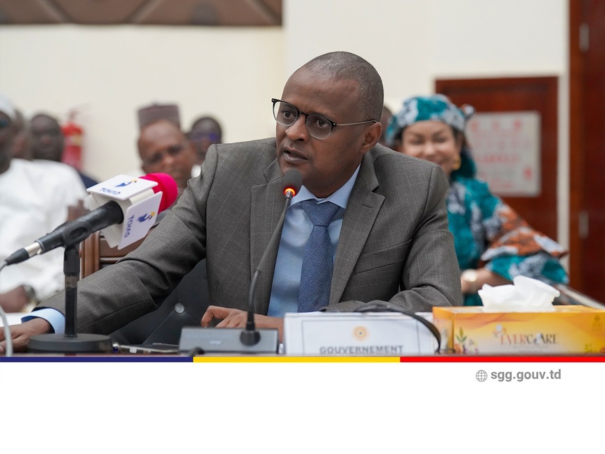 Tchad : ratification de la convention fiscale entre le Tchad et les Emirats arabes unis
