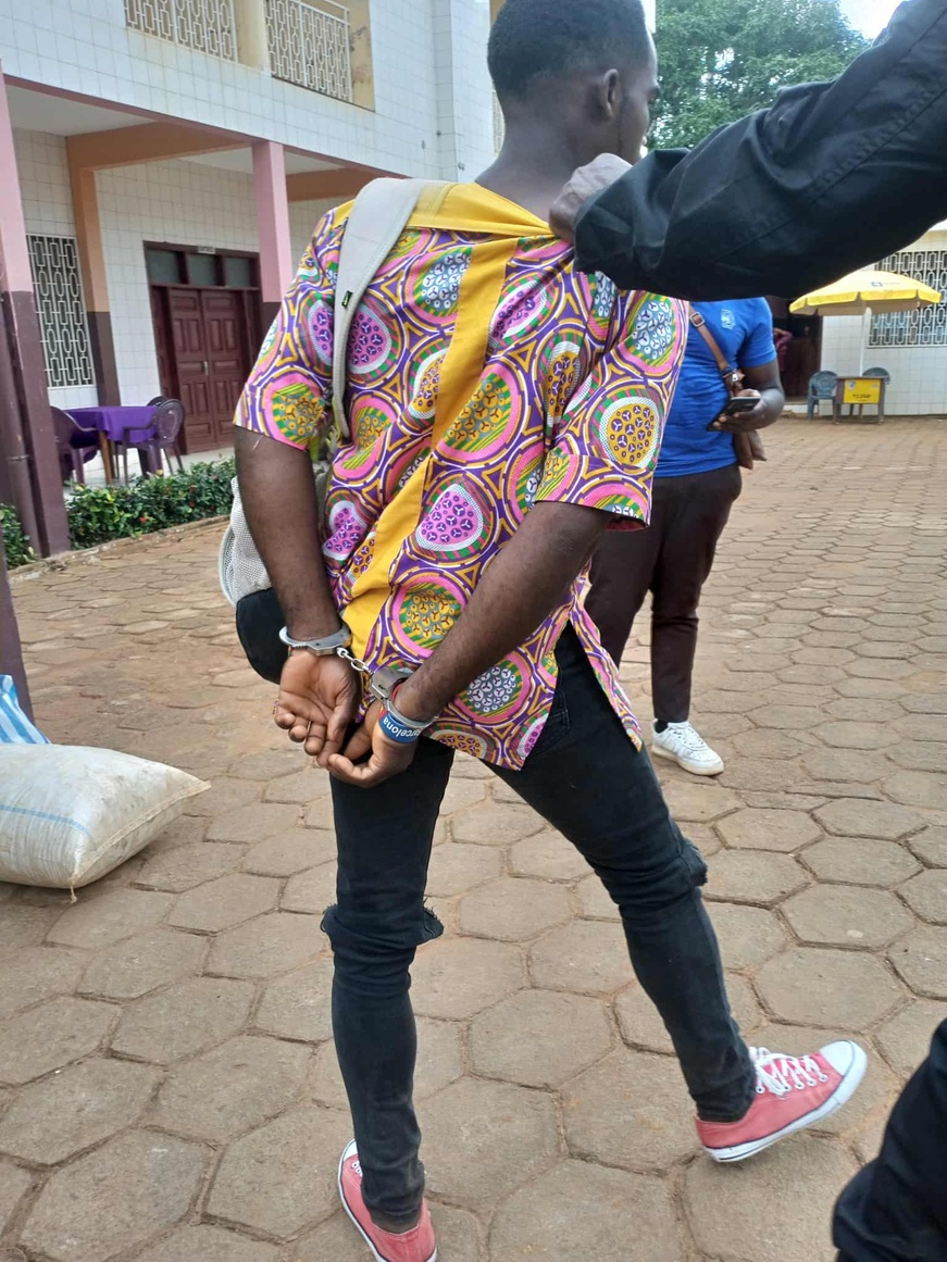 Cameroun :  trois trafiquants devant le tribunal pour commerce illégal d'écailles de pangolins à Ntui Cameroun :  trois trafiquants devant le tribunal pour commerce illégal d'écailles de pangolins à Ntui