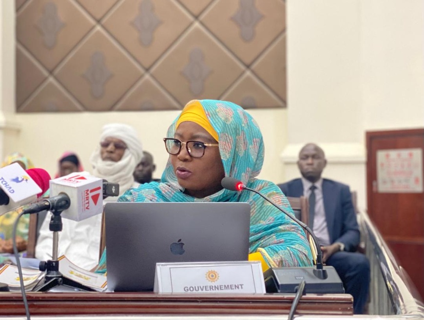 Tchad : Le gouvernement habilité à légiférer par ordonnances durant la trêve parlementaire