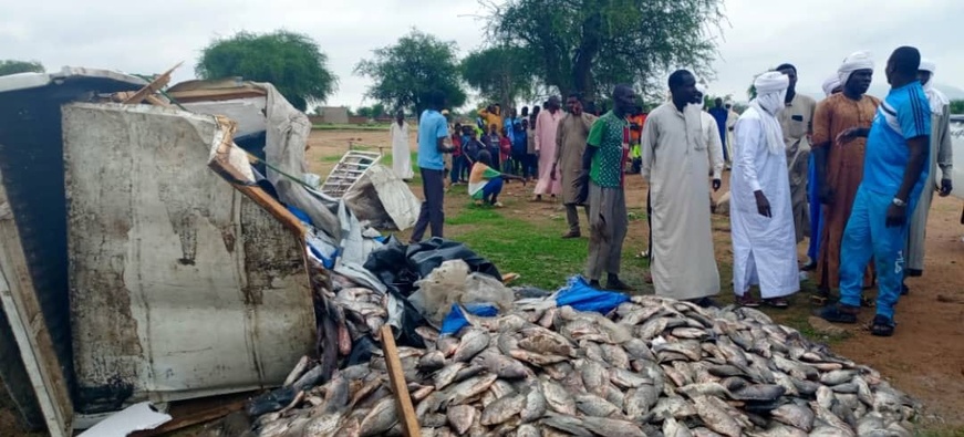 Tchad : Accident sur l'axe Abéché-Mongo, quatre blessés et un véhicule de poisson renversé