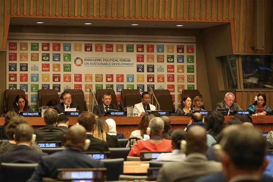 Séance d'information virtuelle et de questions-réponses pour la session 2025 du Forum politique de haut niveau des Nations-Unies pour le développement durable (FPHN). Photo : sdg.iisd.org Séance d'information virtuelle et de questions-réponses pour la session 2025 du Forum politique de haut niveau des Nations-Unies pour le développement durable (FPHN). Photo : sdg.iisd.org