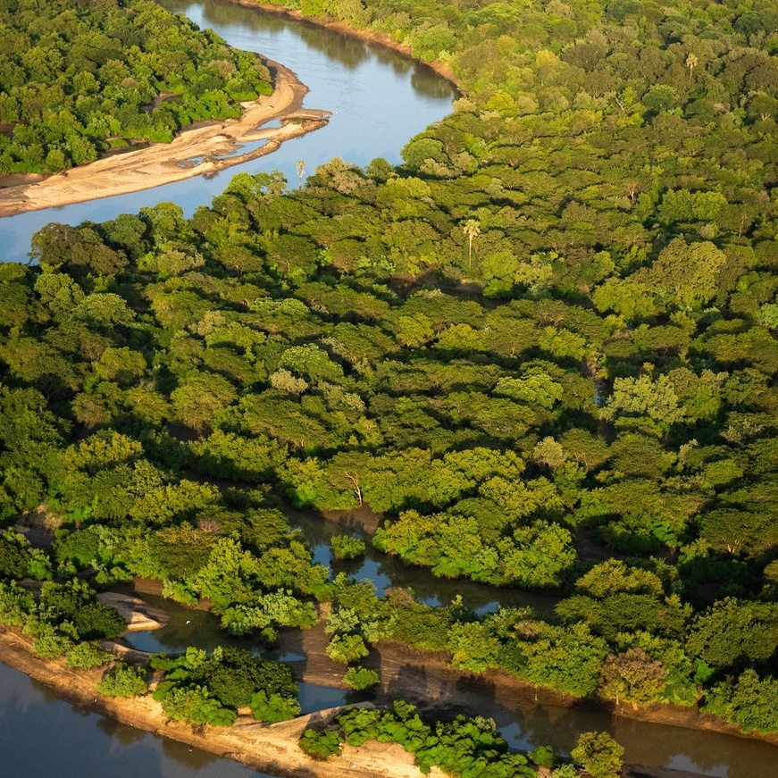 Tchad - Tourisme : Le Parc National de Zakouma, un trésor naturel à préserver et à faire rayonner