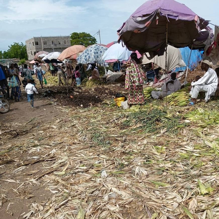 N'Djamena : Le marché de Taradona se revitalise avec les nouvelles récoltes paysannes N'Djamena : Le marché de Taradona se revitalise avec les nouvelles récoltes paysannes