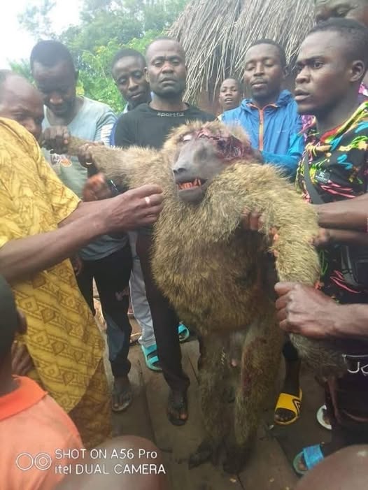 Image : Visiter le Cameroun avec moi Image : Visiter le Cameroun avec moi