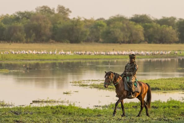 Info : Zakouma National Park 📷Marcus Westberg Info : Zakouma National Park 📷Marcus Westberg