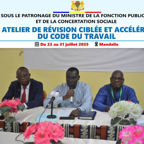 Tchad : Le code du travail en cours de révision pour s'adapter aux évolutions sociales et économiques Tchad : Le code du travail en cours de révision pour s'adapter aux évolutions sociales et économiques