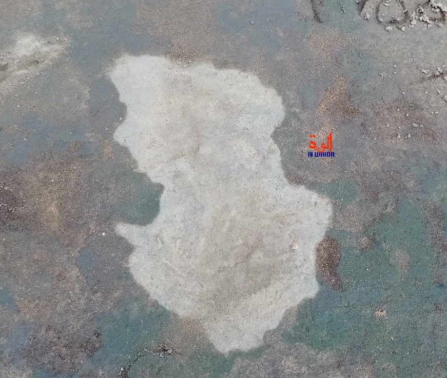 Tchad : Une apparition mystérieuse intrigue les habitants de Bédjondo, au Mandoul Tchad : Une apparition mystérieuse intrigue les habitants de Bédjondo, au Mandoul