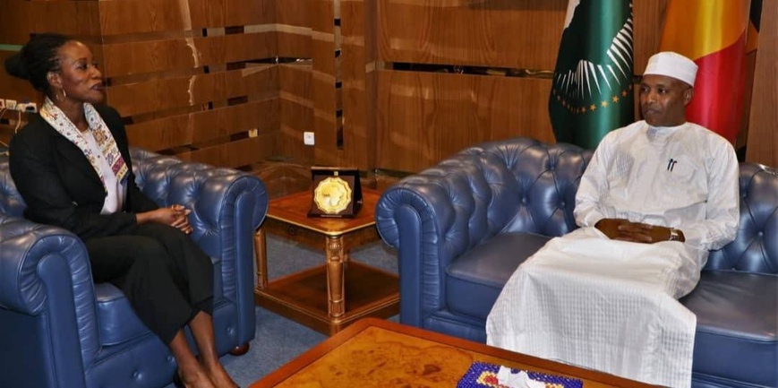 Tchad : une délégation des humanitaires des Nations-Unies reçue par le ministre d'État chargé des Affaires étrangères