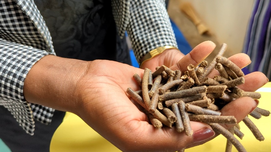 Tchad : inauguration d'une unité spécialisée dans la nutrition animale et la production d'engrais Tchad : inauguration d'une unité spécialisée dans la nutrition animale et la production d'engrais