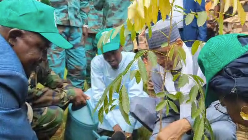 Tchad : lancement de la semaine de l’arbre édition 2025 dans le Logone Occidental Tchad : lancement de la semaine de l’arbre édition 2025 dans le Logone Occidental