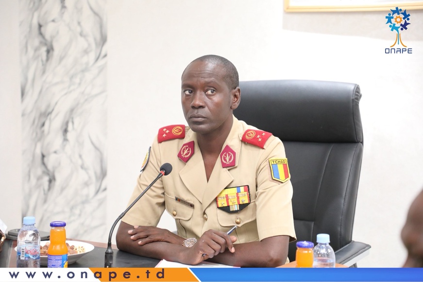 Tchad : rencontre de travail entre l’ONAPE et l’OGEMIP Tchad : rencontre de travail entre l’ONAPE et l’OGEMIP
