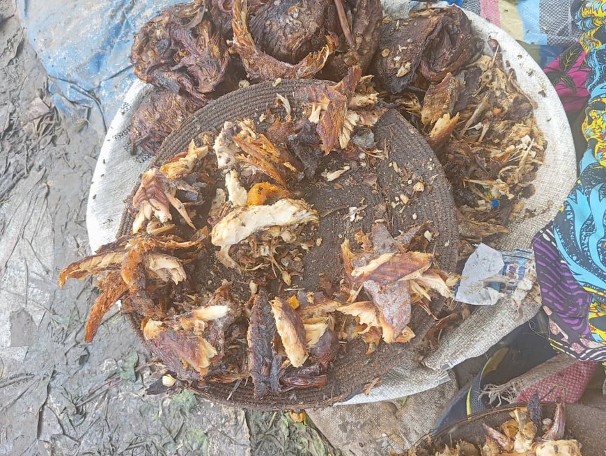 Tchad : L'insalubrité du poisson séché au marché de Dembé Tchad : L'insalubrité du poisson séché au marché de Dembé