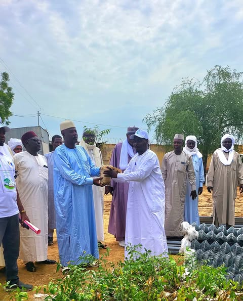 Tchad : Biltine reçoit 9 000 plants pour une ceinture verte Tchad : Biltine reçoit 9 000 plants pour une ceinture verte
