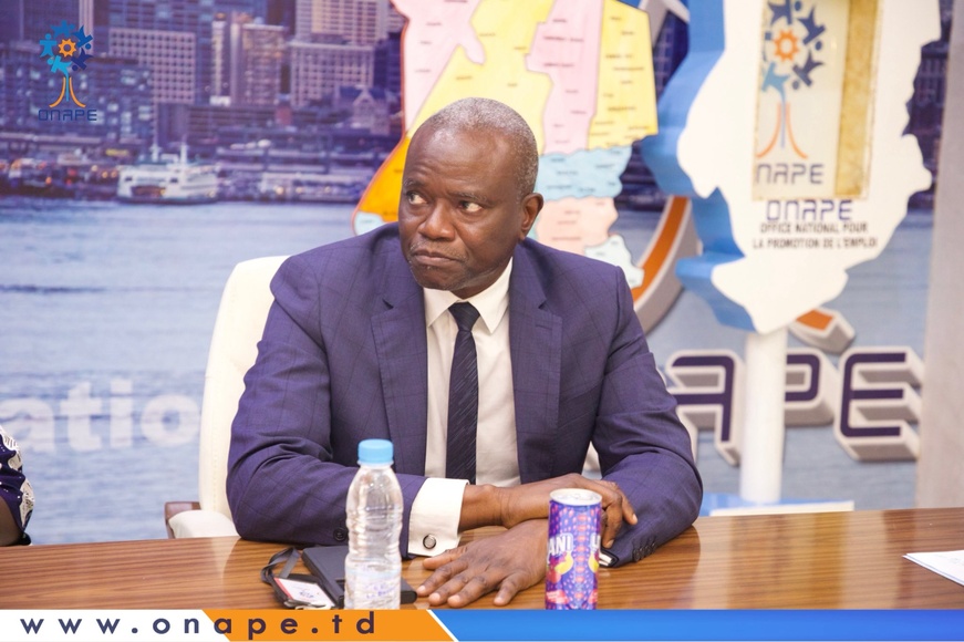 Tchad : rencontre d’échanges entre l’ONAPE & STAR OIL Tchad : rencontre d’échanges entre l’ONAPE & STAR OIL