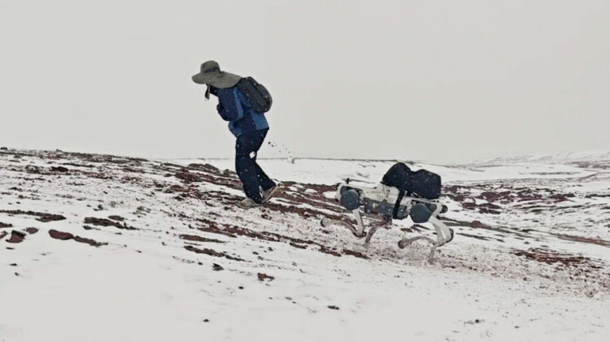A researcher conducts fieldwork with a robot dog in Hoh Xil at 4,800 meters above sea levels. (Photo from the WeChat official account of DEEP Robotics) A researcher conducts fieldwork with a robot dog in Hoh Xil at 4,800 meters above sea levels. (Photo from the WeChat official account of DEEP Robotics)