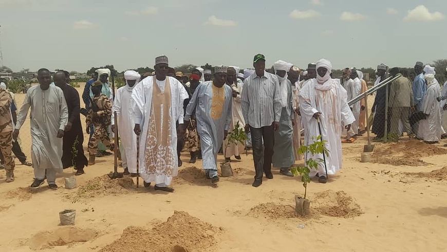 Tchad : 500 arbres plantés pour lutter contre la désertification