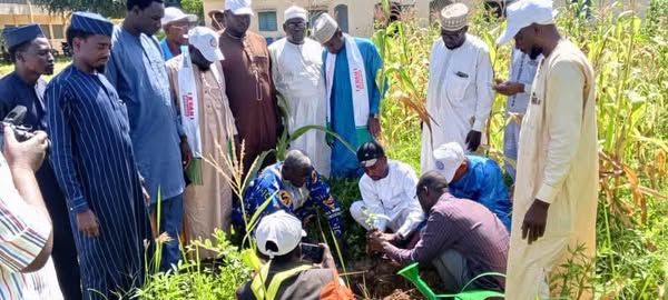 Tchad : Des associations plantent des arbres à Moundou Tchad : Des associations plantent des arbres à Moundou