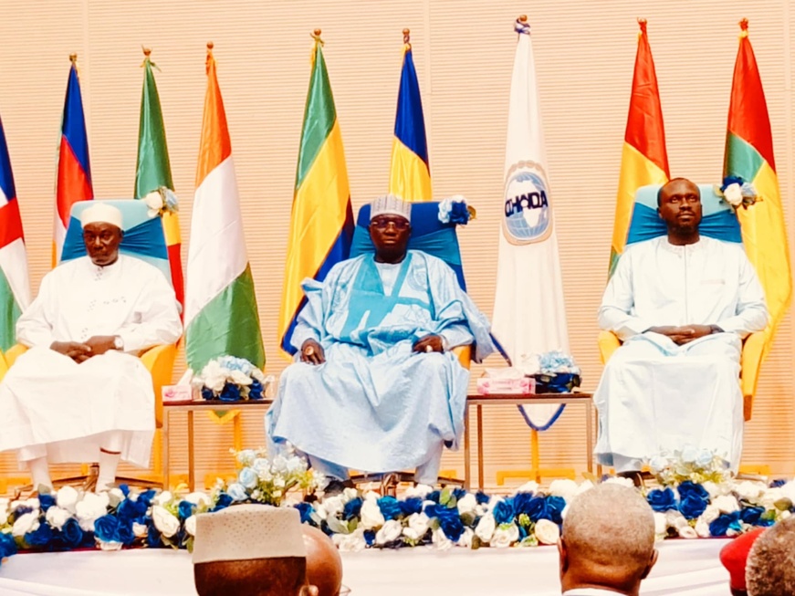 Tchad : N'Djamena abrite la 59ème session du conseil des ministres de l'OHADA Tchad : N'Djamena abrite la 59ème session du conseil des ministres de l'OHADA