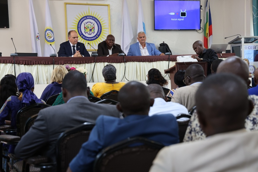RCA / France : L’Ambassade de France à Bangui organise une formation en ressources humaines