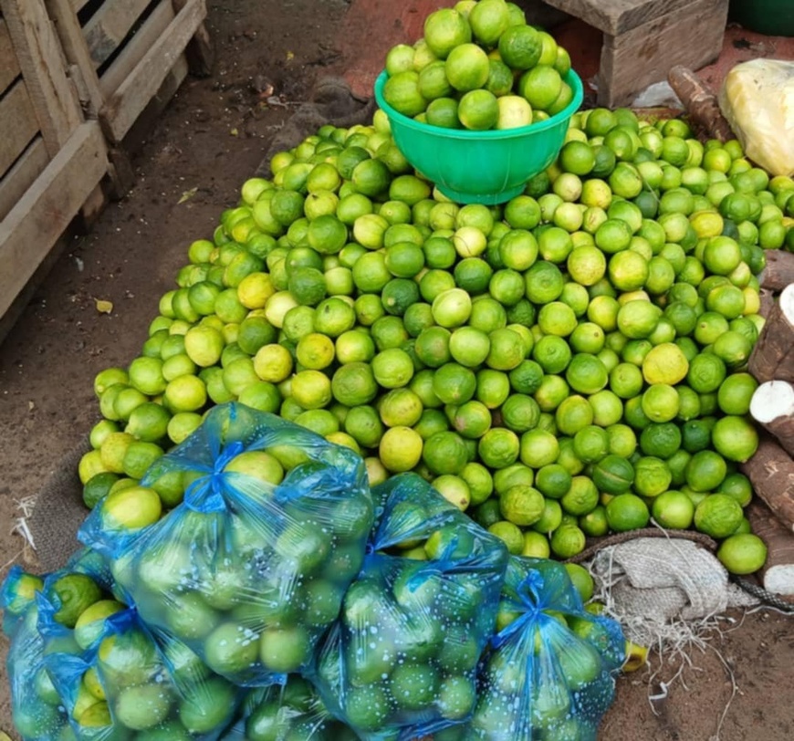 Tchad : abondance de citrons sur le marché, une opportunité pour les petits commerçants Tchad : abondance de citrons sur le marché, une opportunité pour les petits commerçants