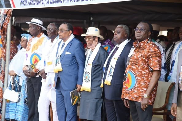 Cameroun : Démonstration de force du RDPC à Yaoundé pour le lancement de la campagne présidentielle Cameroun : Démonstration de force du RDPC à Yaoundé pour le lancement de la campagne présidentielle
