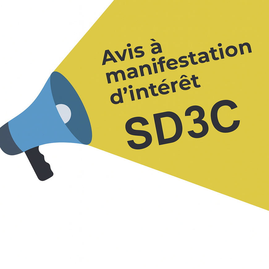Tchad : Recrutement d'un Consultant National pour la réalisation d'une étude sur les modalités de paiement (Programme SD3C) Tchad : Recrutement d'un Consultant National pour la réalisation d'une étude sur les modalités de paiement (Programme SD3C)