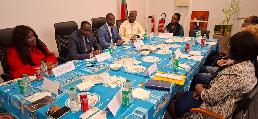 Présidentielle au Cameroun : des sessions de formation en France pour un scrutin apaisé et transparent Présidentielle au Cameroun : des sessions de formation en France pour un scrutin apaisé et transparent