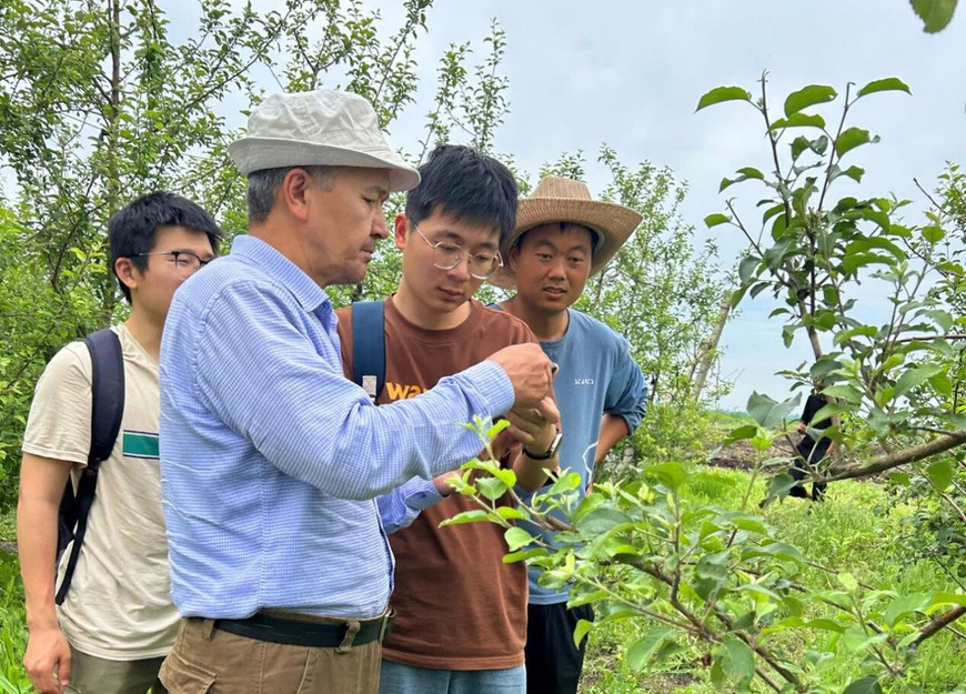 Researchers from Kyrgyz National Agrarian University and China's Northwest A&F University conduct a field study at a China-Kyrgyzstan agricultural demonstration park. (Photo/Li Wenxia) Researchers from Kyrgyz National Agrarian University and China's Northwest A&F University conduct a field study at a China-Kyrgyzstan agricultural demonstration park. (Photo/Li Wenxia)