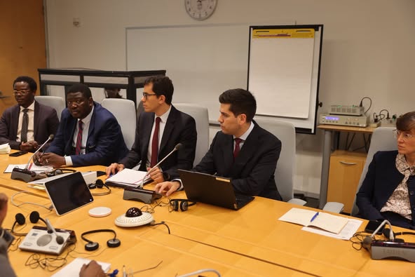 FMI-Tchad : réunion de travail avec le Département des Affaires Fiscales FMI-Tchad : réunion de travail avec le Département des Affaires Fiscales