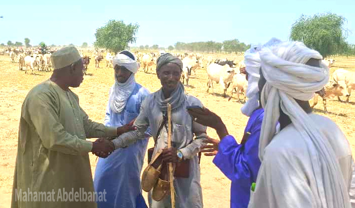 Tchad : le sous-préfet de Am-Habilé en mission sur les couloirs de transhumance pour prévenir les conflits Tchad : le sous-préfet de Am-Habilé en mission sur les couloirs de transhumance pour prévenir les conflits