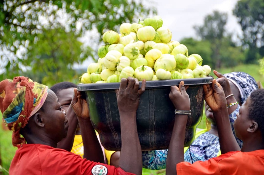 Tchad : des matériels techniques offerts à 50 femmes par la Cotontchad SN/ Olam Agri Tchad : des matériels techniques offerts à 50 femmes par la Cotontchad SN/ Olam Agri