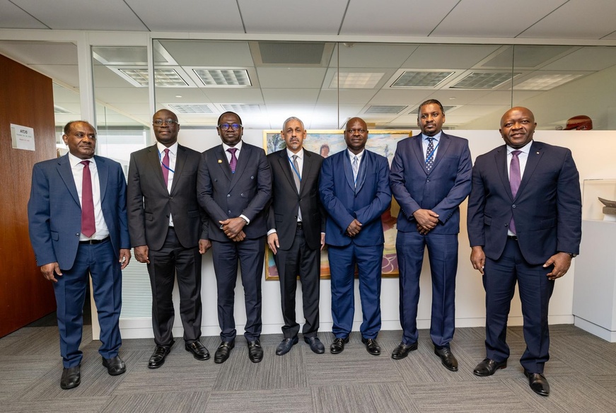 Gambie, Ghana, Liberia, Sierra Leone, Soudan : le président de la BAD s'engage à approfondir la coopération