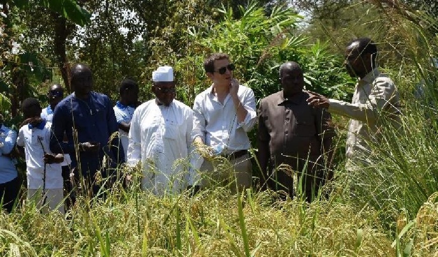 Tchad : l'ambassade de France s'engage en faveur de la jeunesse et du développement durable Tchad : l'ambassade de France s'engage en faveur de la jeunesse et du développement durable