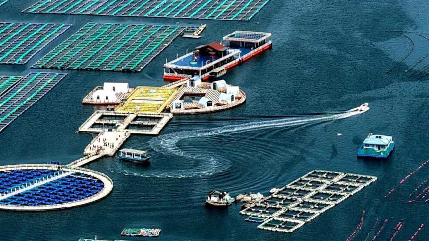 Photo shows tourists boating near a marine farm in Rongcheng, east China's Shandong province. (Photo/Yang Zhili) Photo shows tourists boating near a marine farm in Rongcheng, east China's Shandong province. (Photo/Yang Zhili)