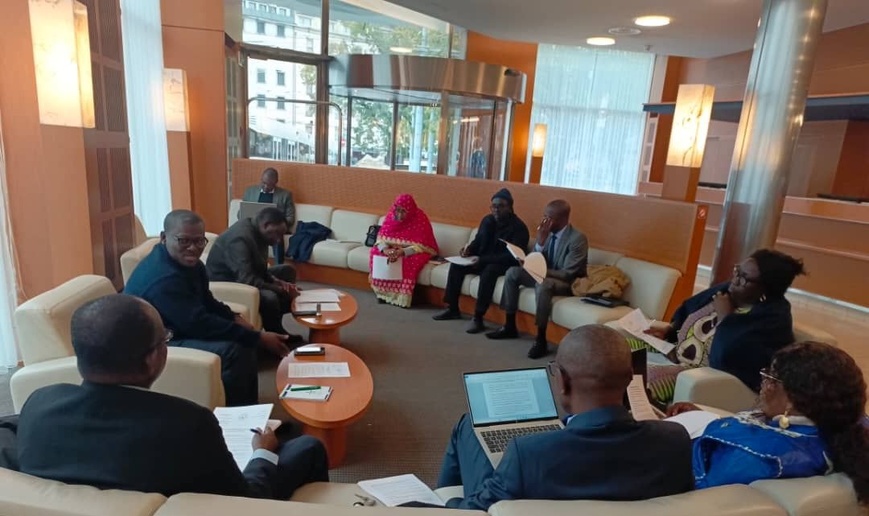 Tchad : la CNDH défend son dossier d’accréditation au statut « A » devant les Nations Unies