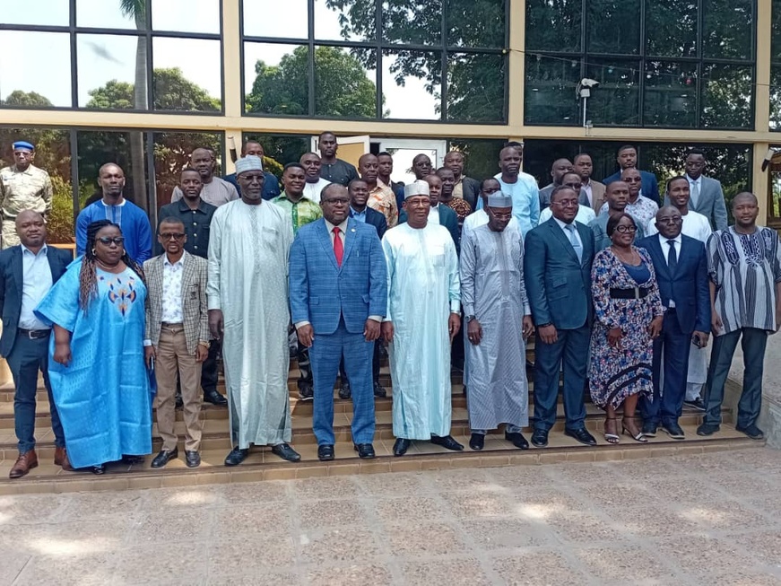 Tchad : Atelier de Formation sur l'Utilisation des Images par le Volet des Standards des Ménages (EHCVM)