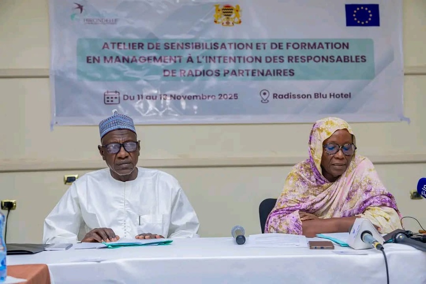 Tchad : la Fondation Hirondelle sensibilise et forme les responsables de radios en management Tchad : la Fondation Hirondelle sensibilise et forme les responsables de radios en management
